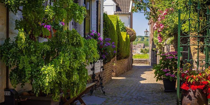 Bloemen in bloei in Batsteeg in Eijsden