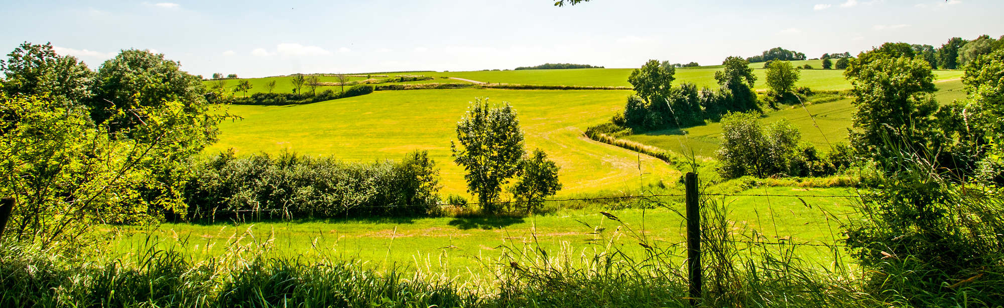 Foto met prachtig zonovergoten heuvellandschap in Elkenrade