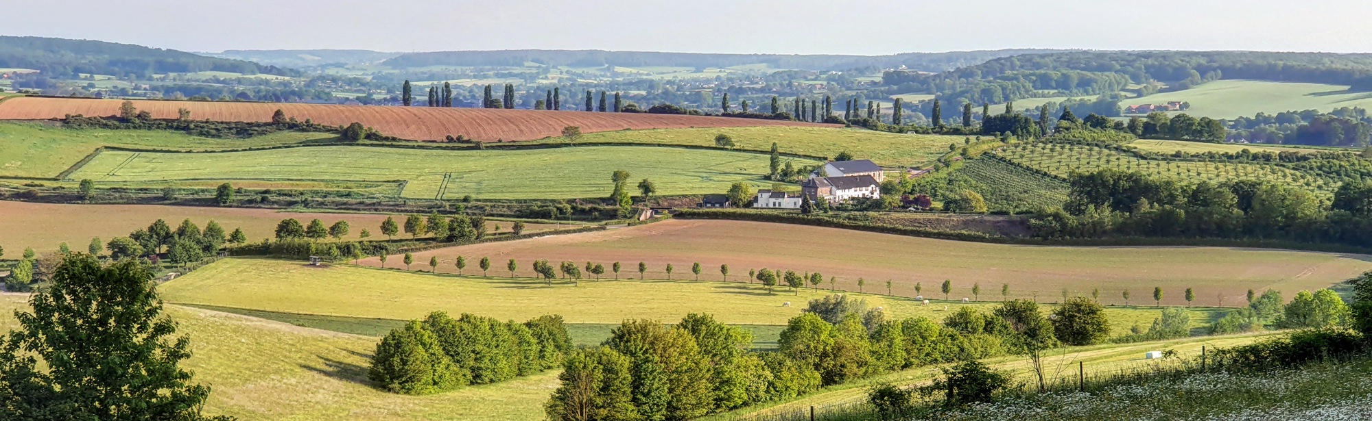 Landschapsfoto vanaf de Eyserbosweg op de 'Toscana' in Nederland