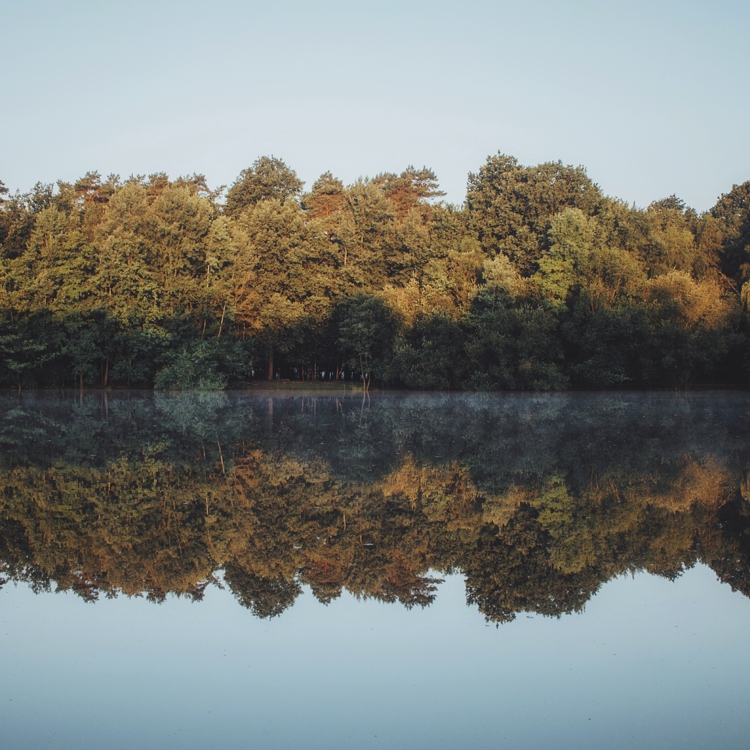 Reflectie op het meer bij de Schinveldse Bossen tijdens zonsopgang