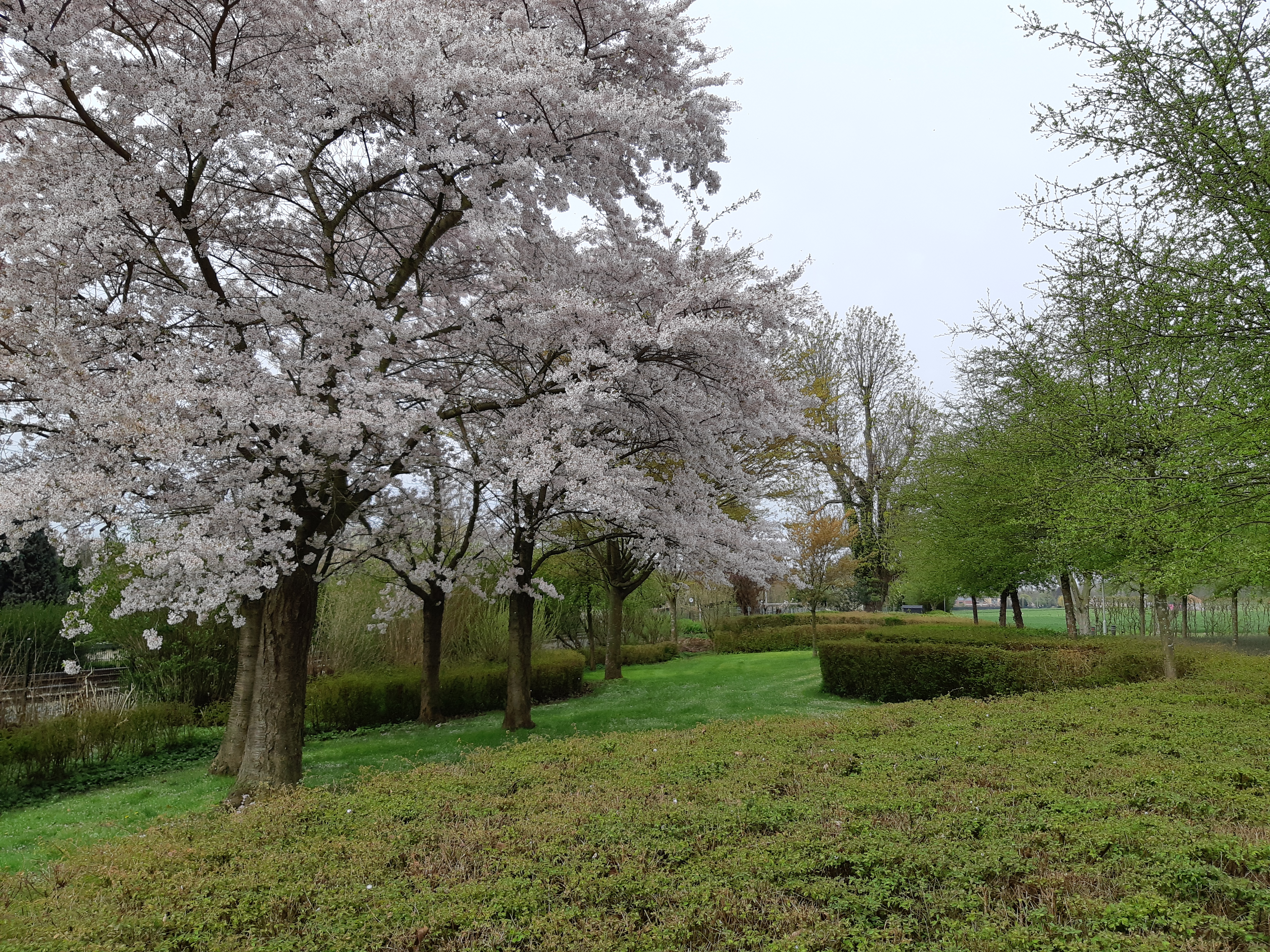 Bloesem2Daagse Wandelvereniging Vilt