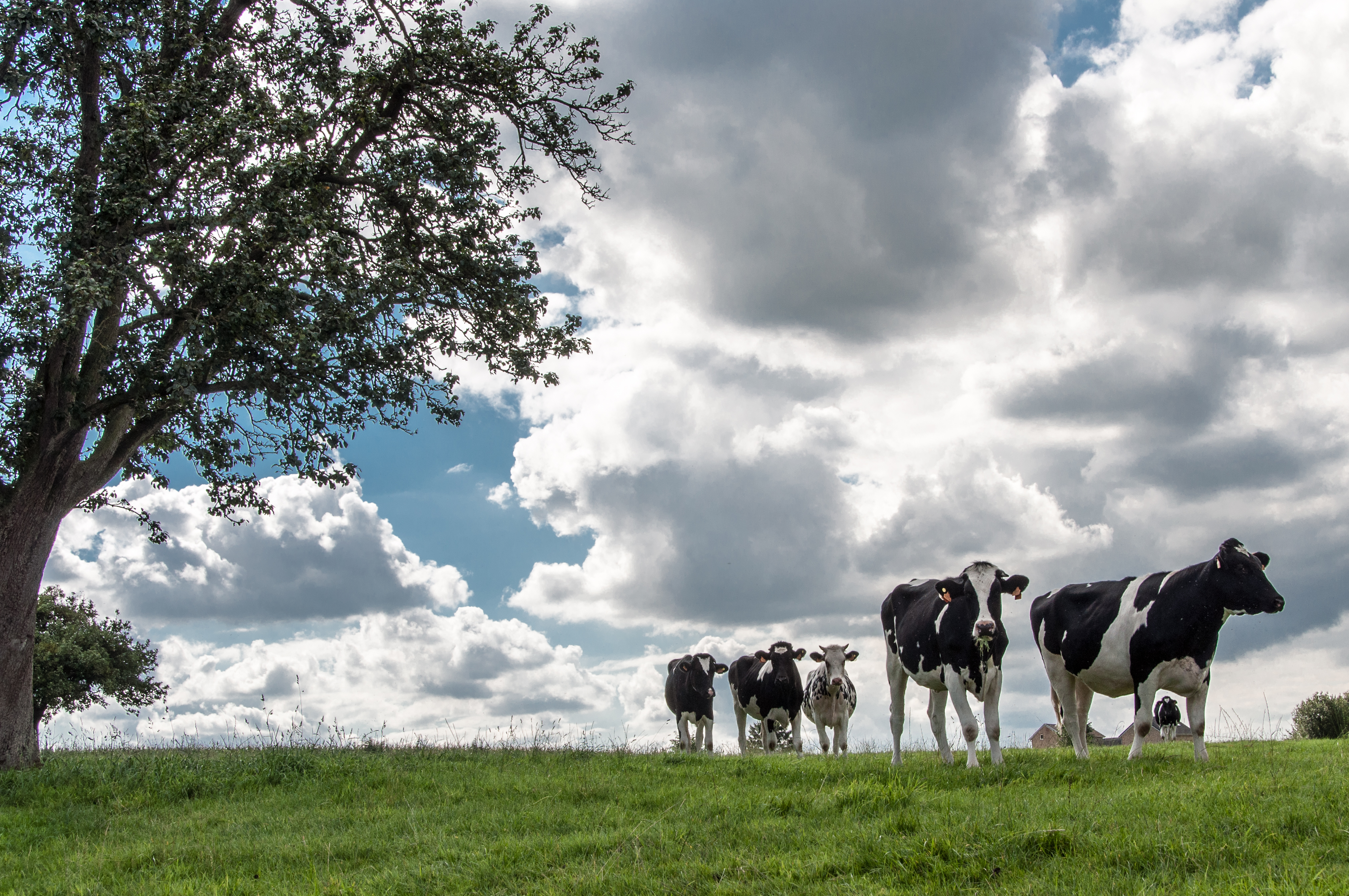 B&B Puur Teuven In Teuven - Visit Zuid-Limburg