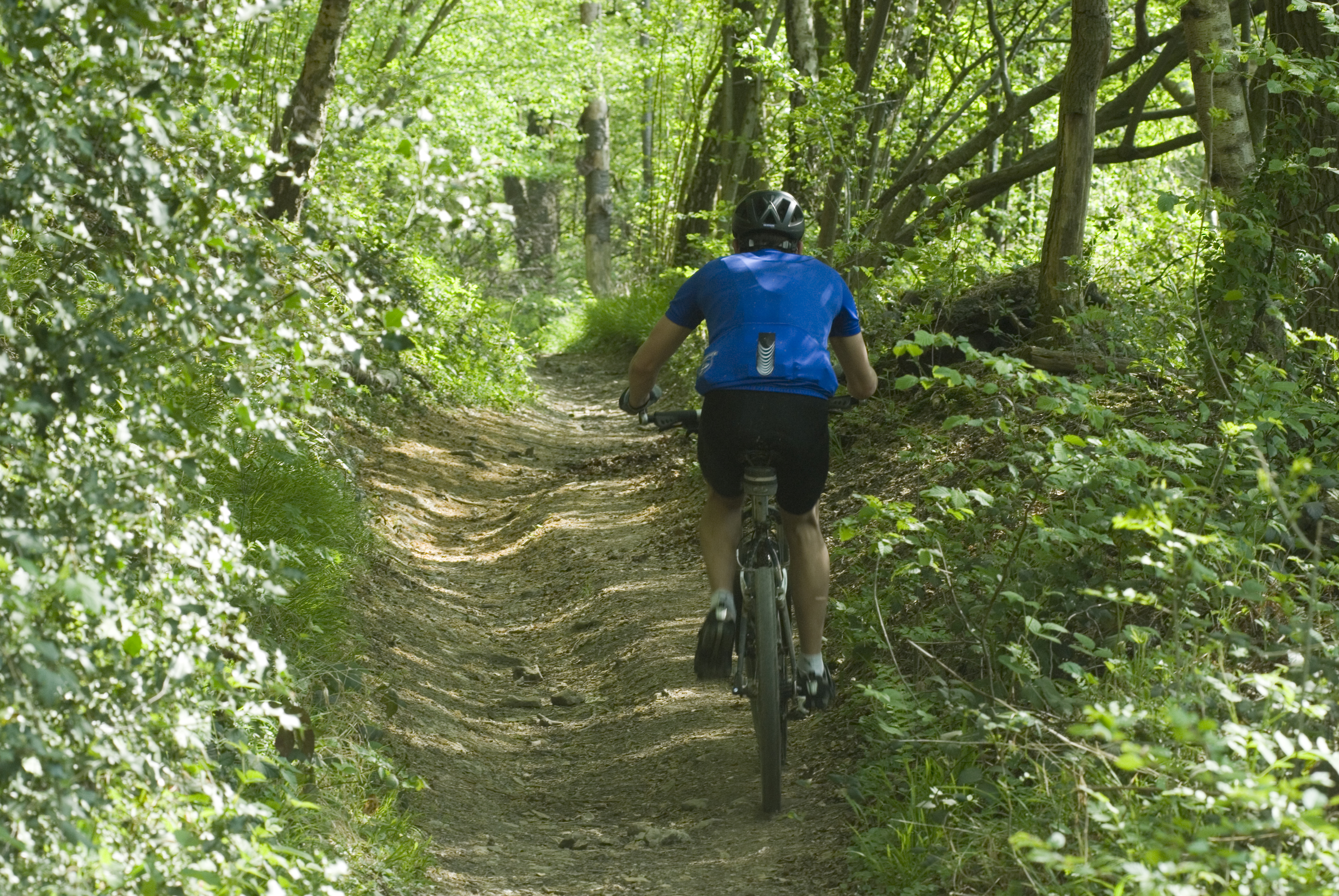 Susteren MTB-route