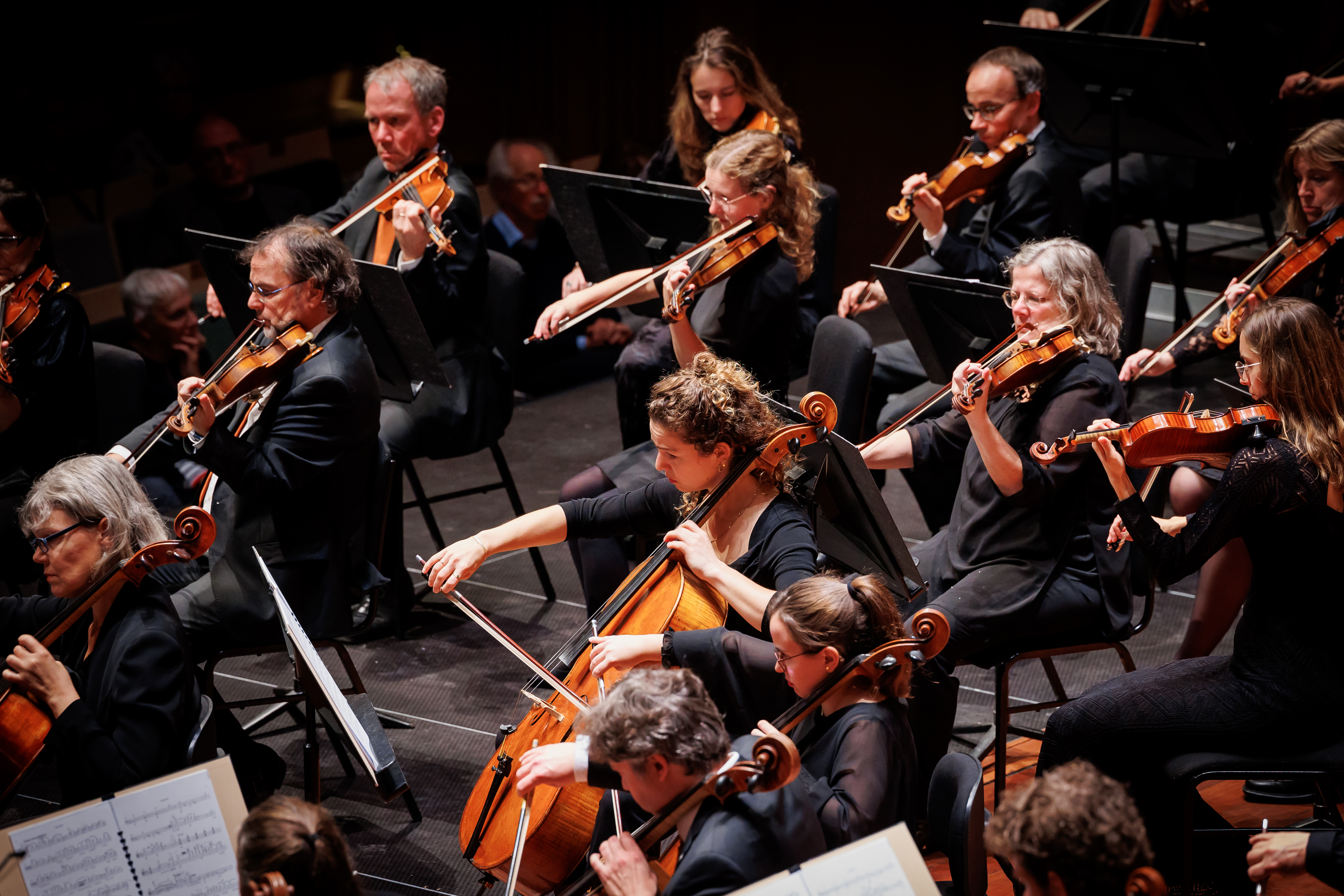 Opwindende opera van Mozart en Beethoven met Elizabeth Watts