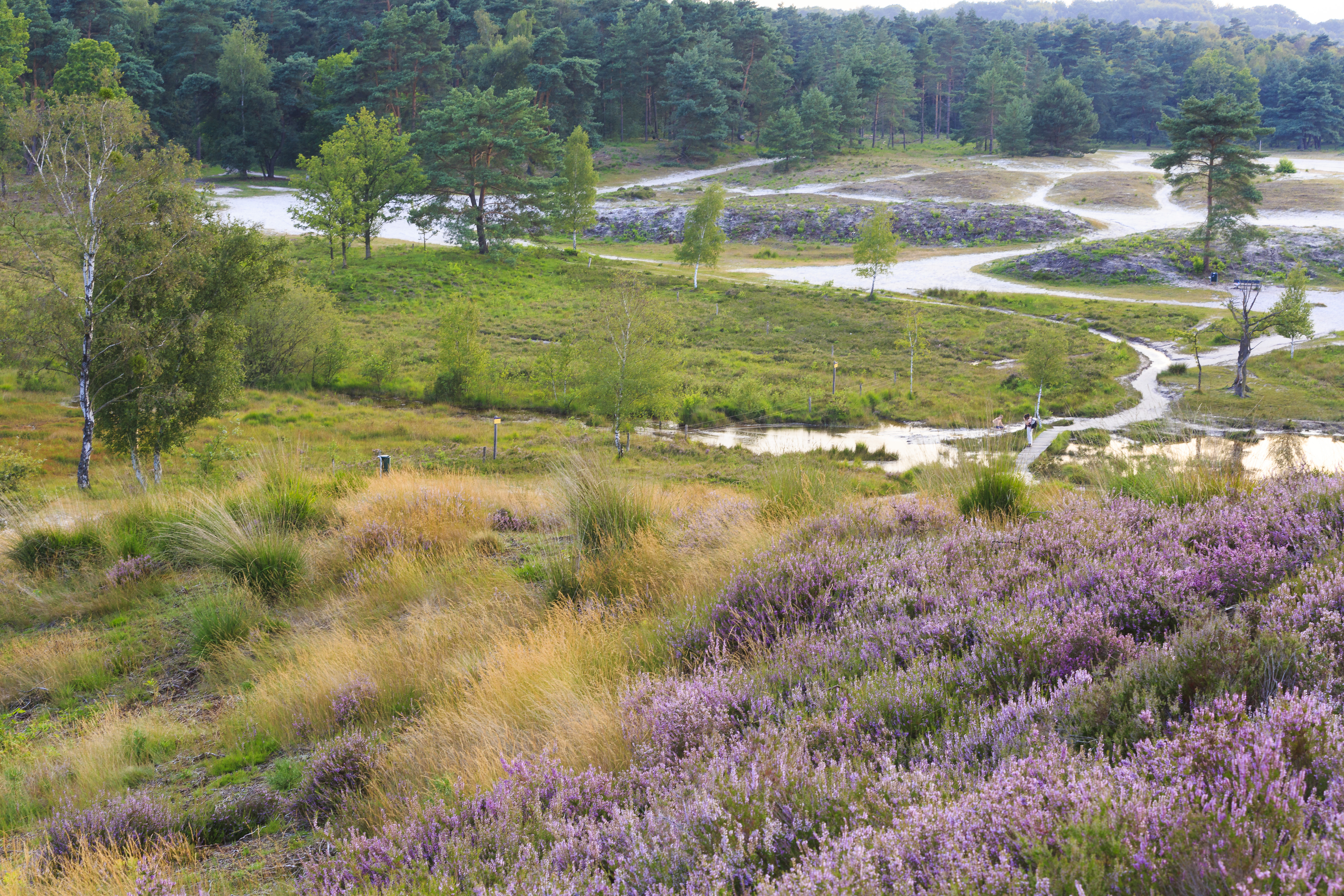 Parkstad Brunssummerheide MTB-route