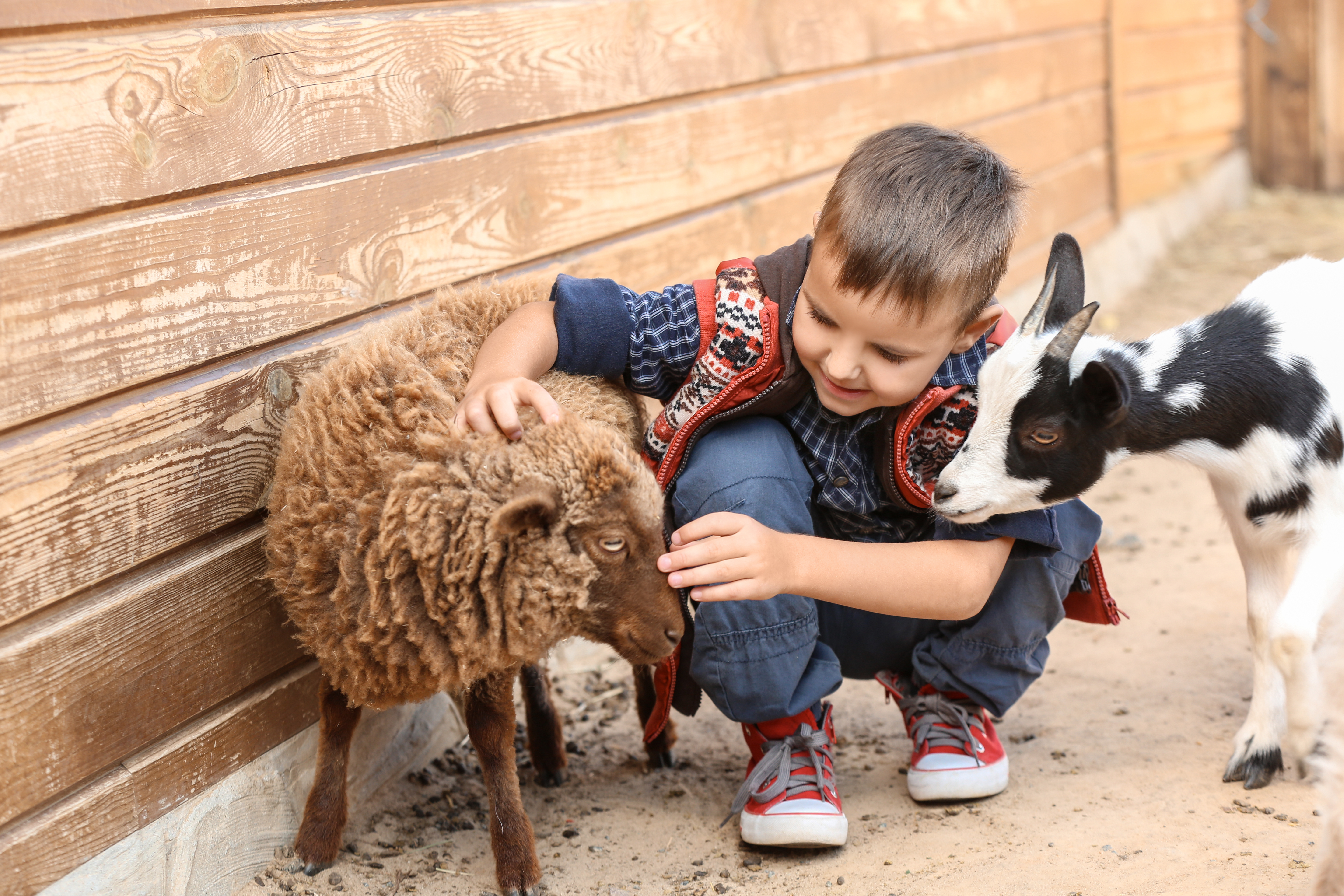 Kinderspeelboerderij ‘t Bukske