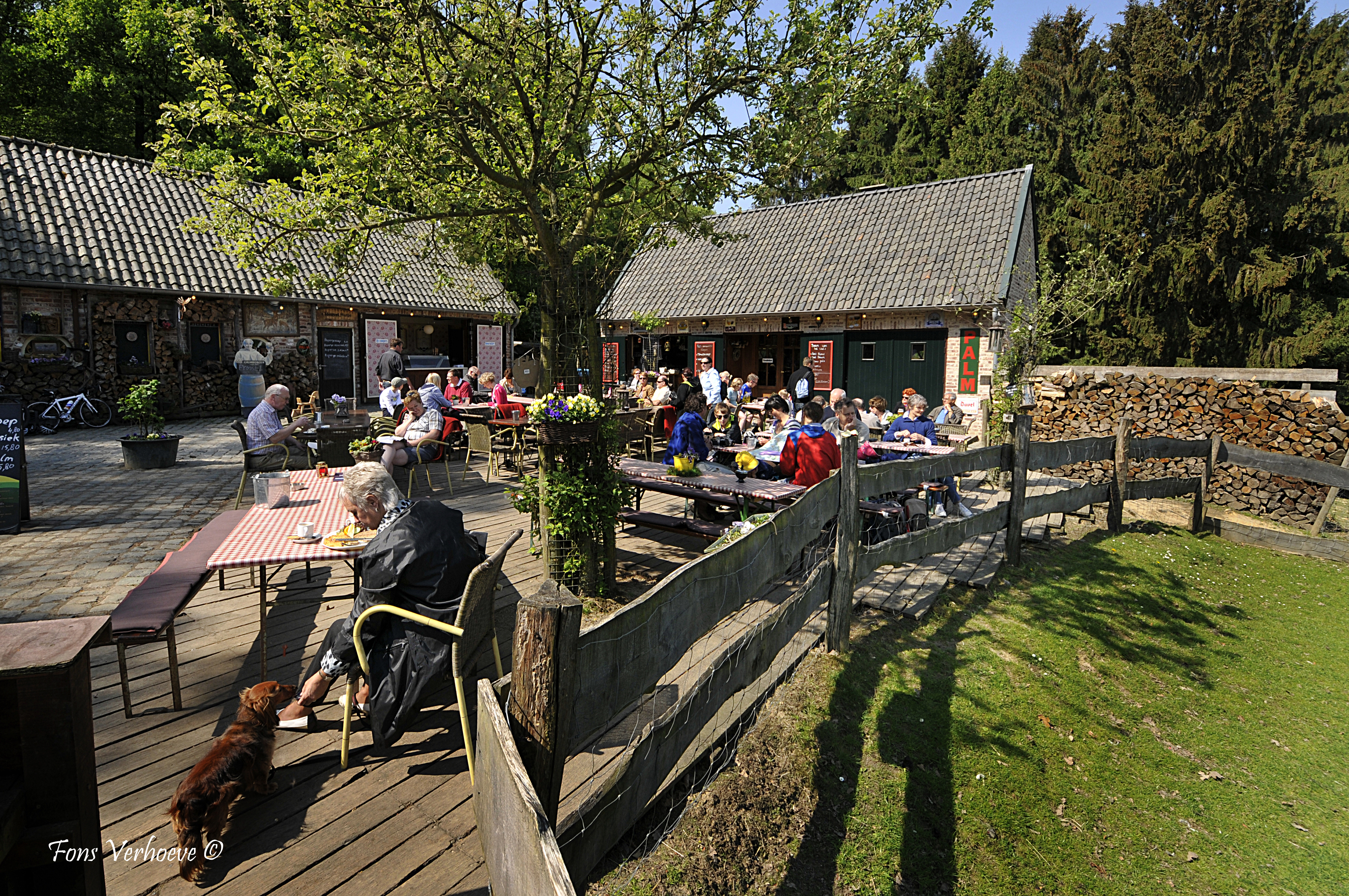 Van Bergdorpje naar Boscafé V10 Vaals