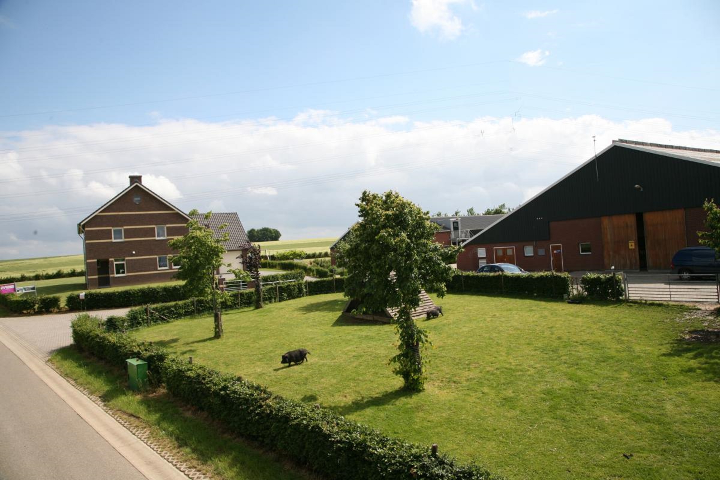 Vakantie(groeps)woning De Bonte Koe