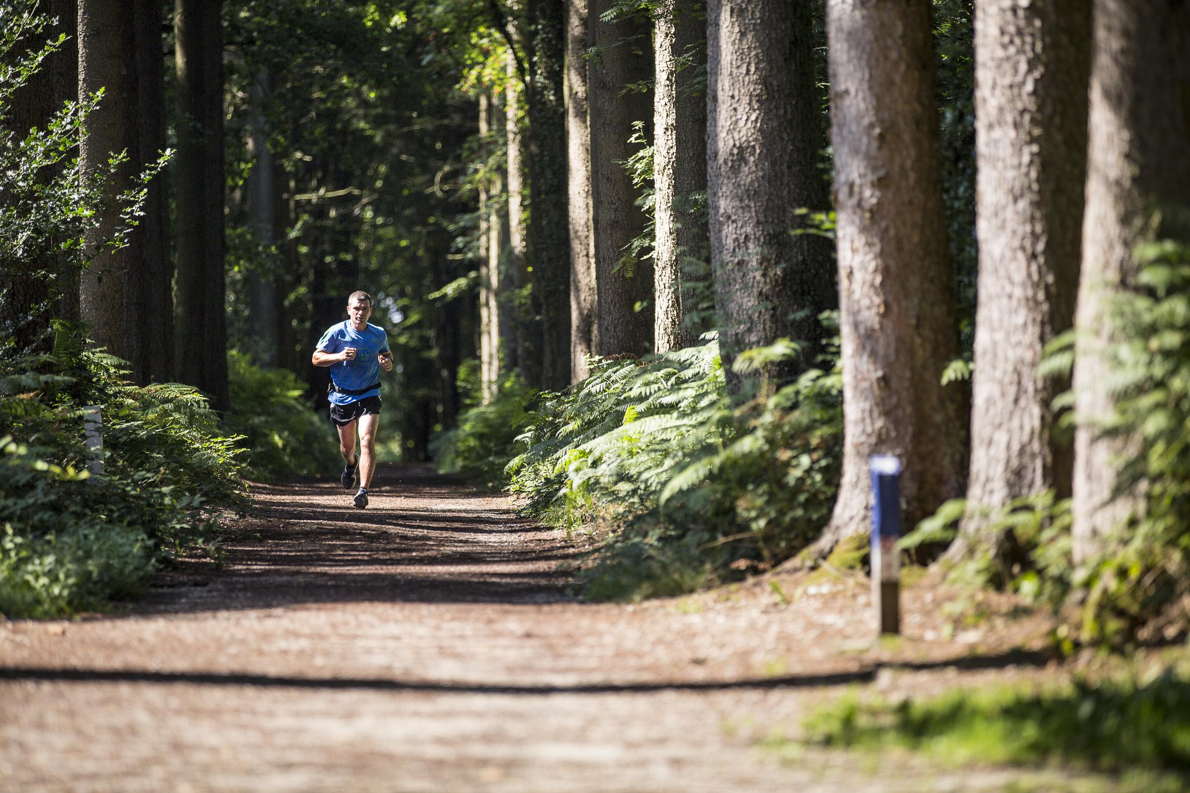 Joggingparcours Vijlenerbos Vaals