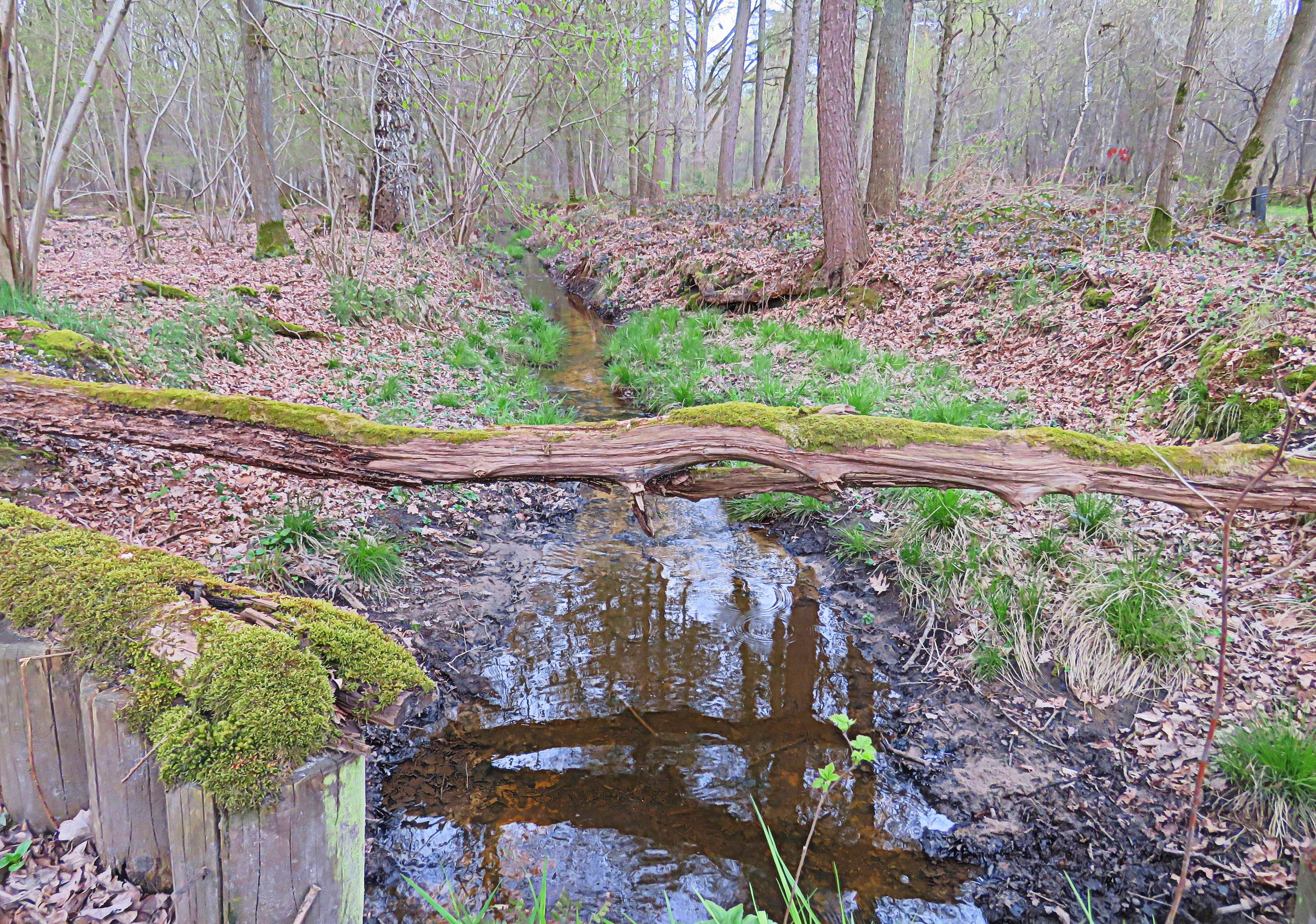 Schinveld RR07 - Schinveldse Bossen