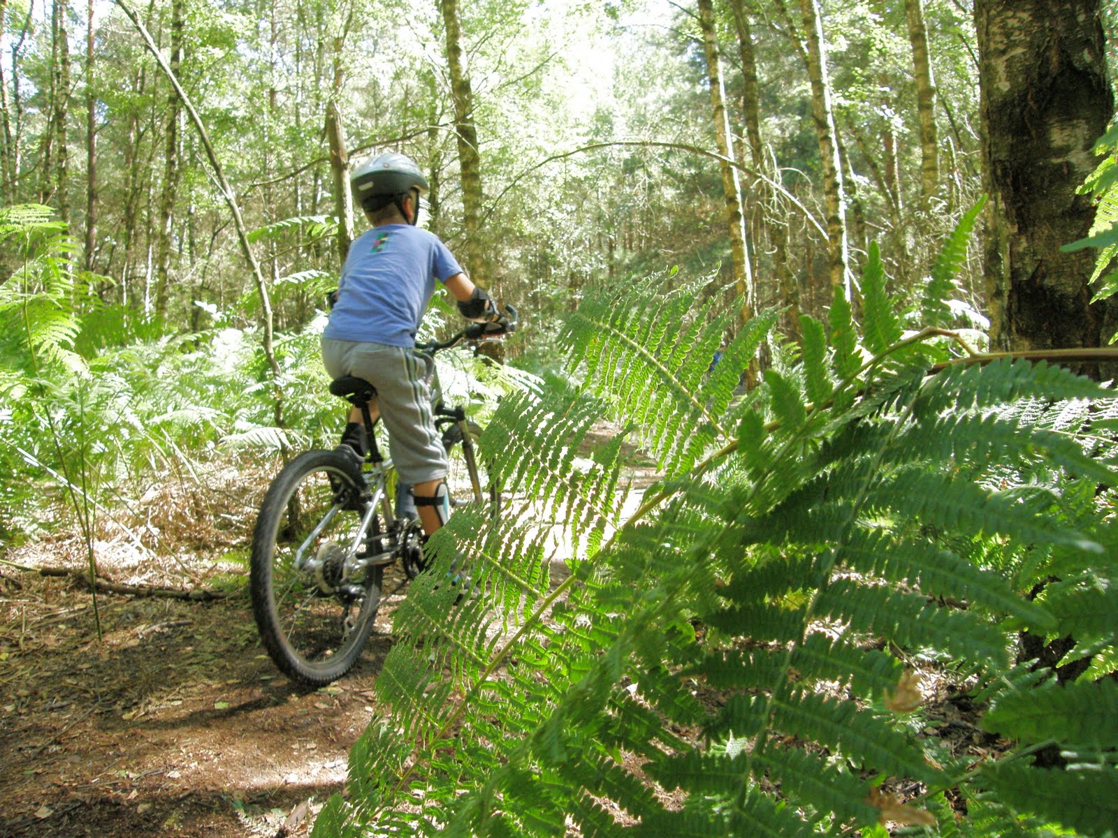 Valkenburg Family Ride MTB-route