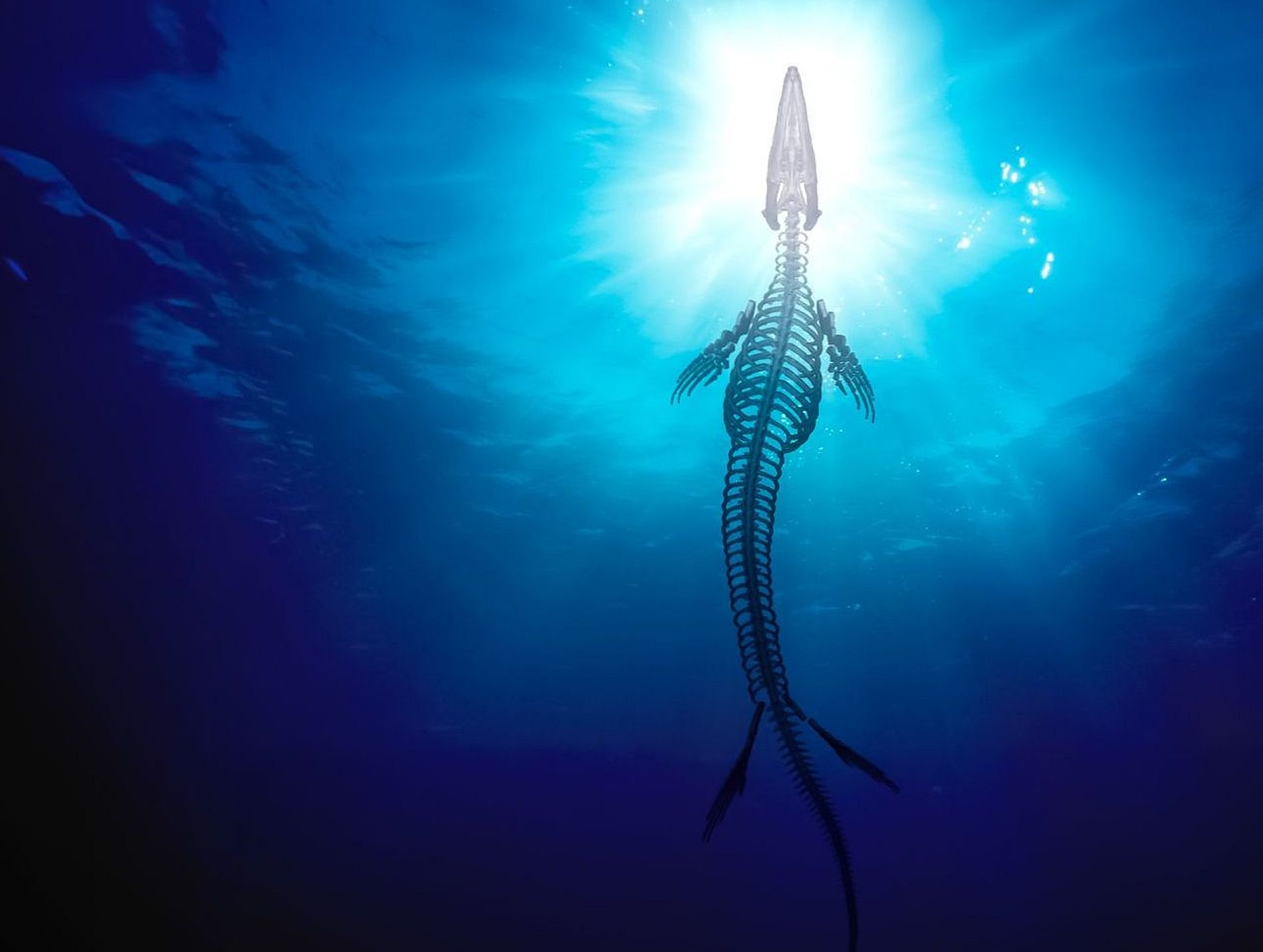 Ontmoet Bèr – Mosasaurus experience