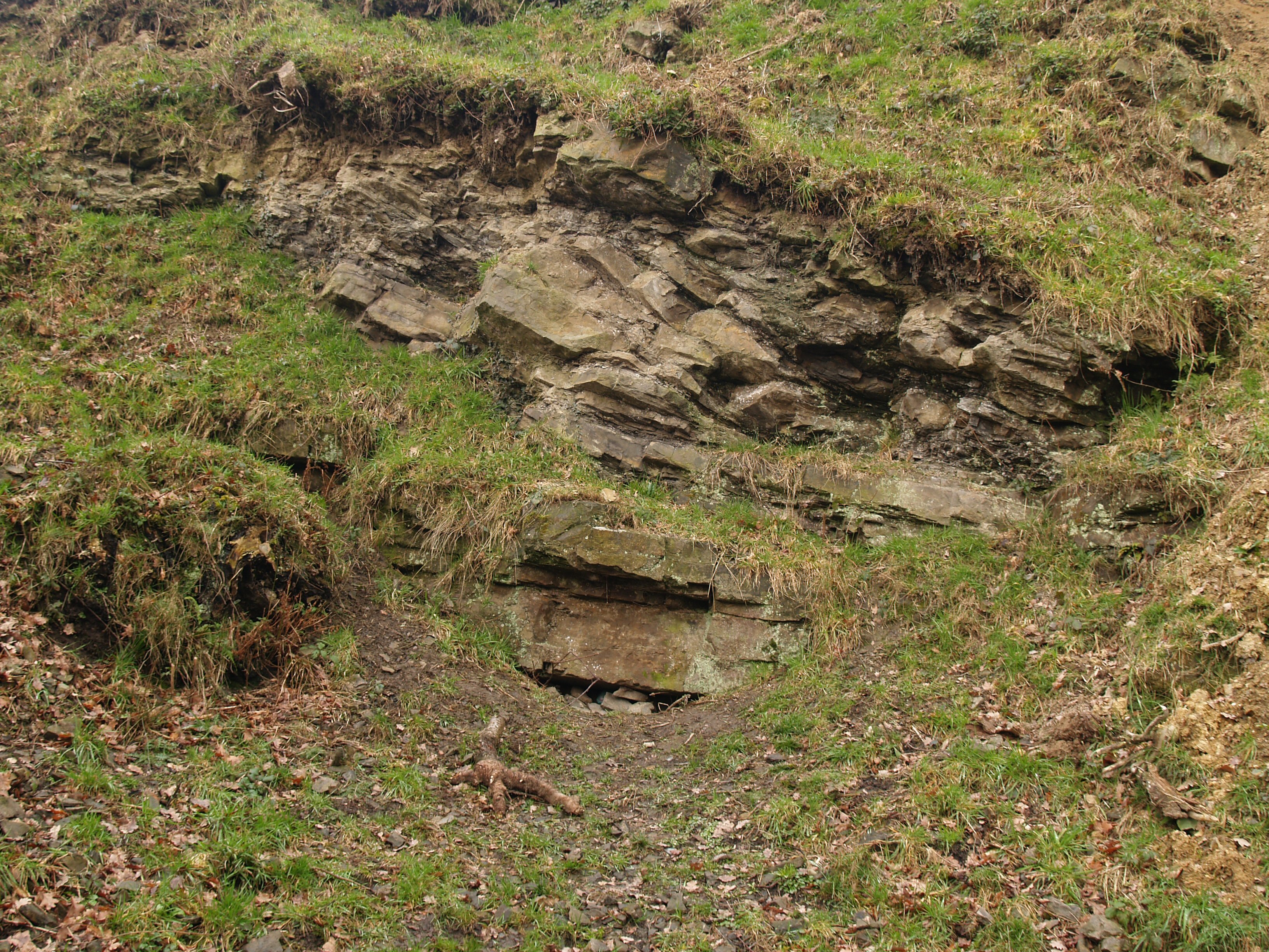 Geologische schatten in het Geuldal